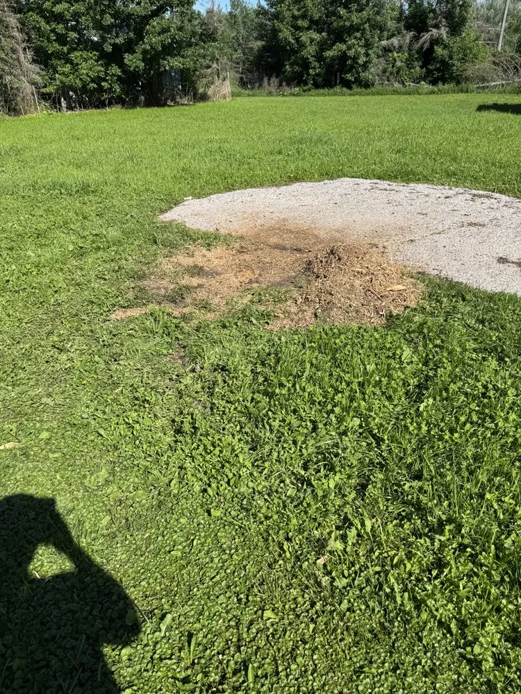 Affordable lawn care service in Baxter, MN by Swartout Landscaping