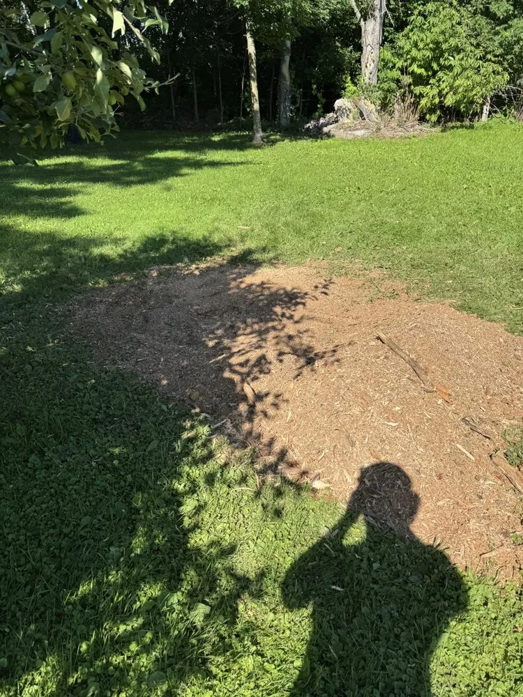 Expert landscape design experts serving Baxter, MN - Swartout Landscaping