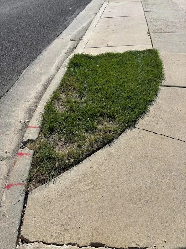 Reliable lawn care service for homes across Garland, UT - Swartz Lawn Care