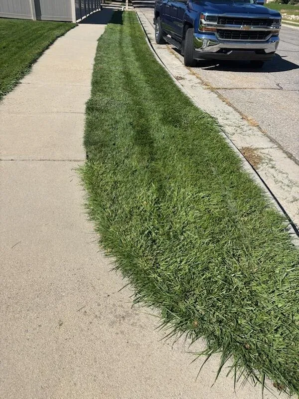 Affordable residential landscaping in Garland, UT - Swartz Lawn Care