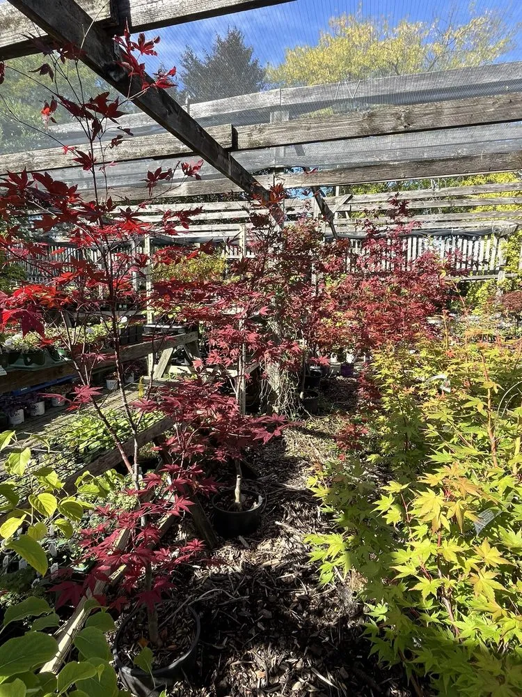Top-rated garden landscaping near you across Kenosha, WI - Swartz Nurseries