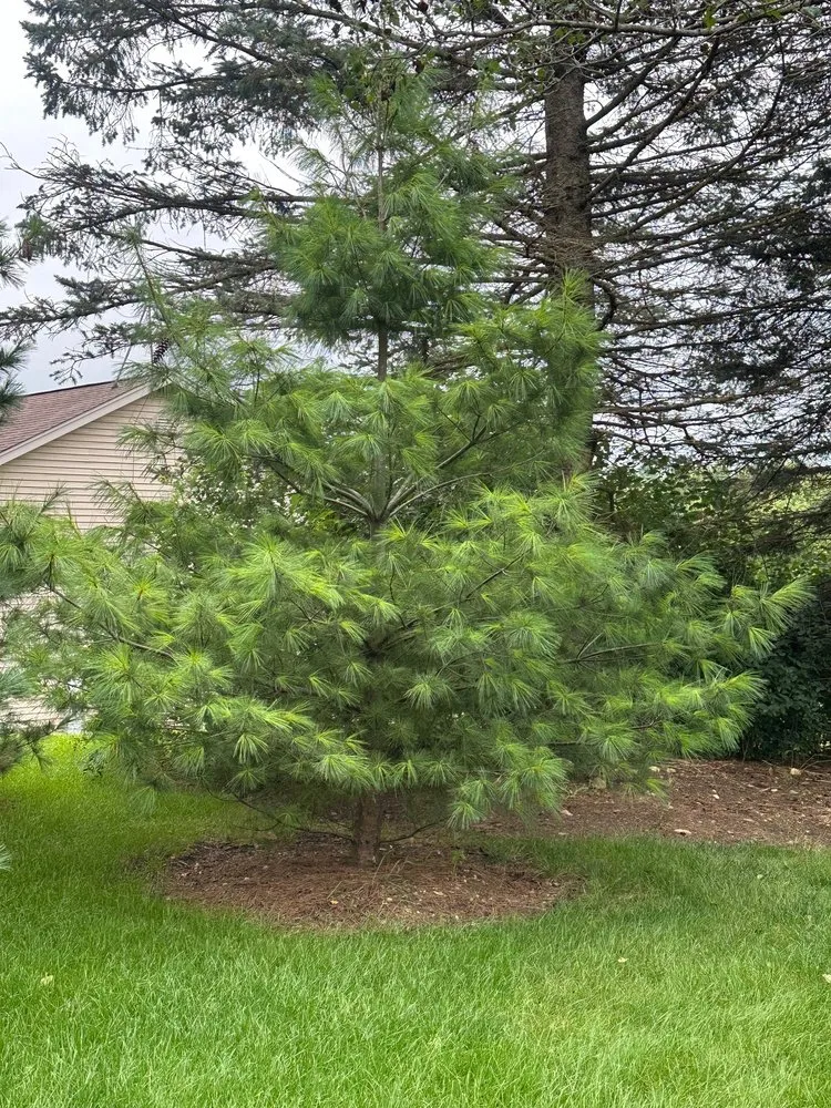 Trusted outdoor landscaping in Kenosha, WI by Swartz Nurseries