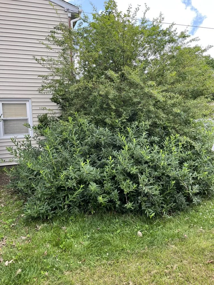 Trusted landscape design for outdoor upgrades across Newport News, VA - Swartz’s Lawn & Landscape