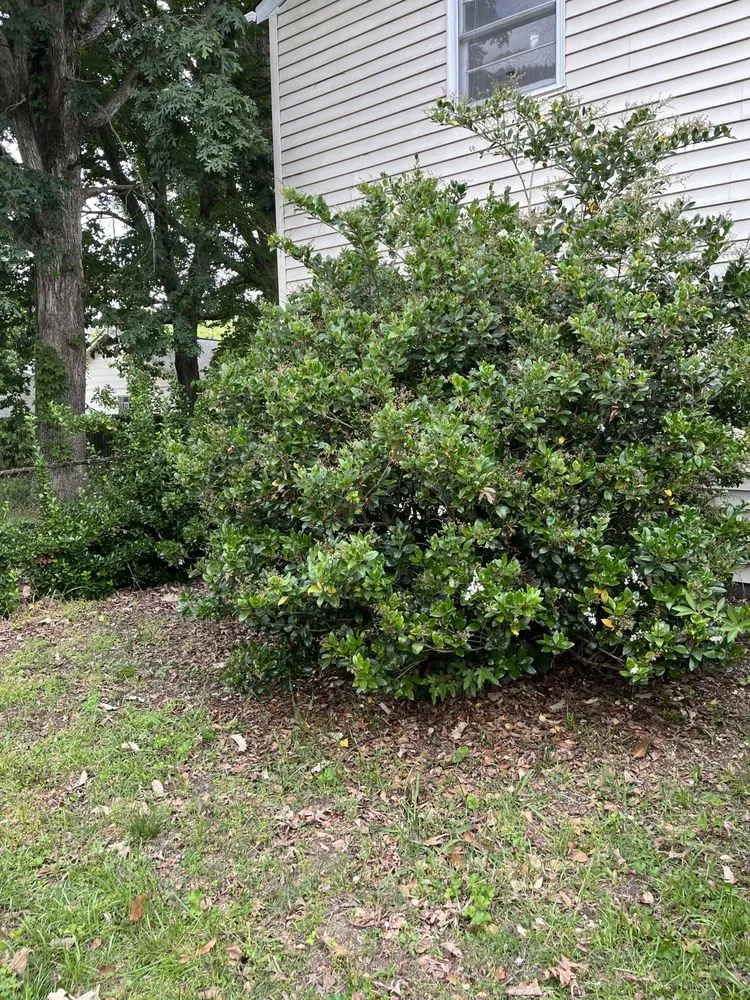 Local lawn mowing service with custom design in Newport News, VA by Swartz’s Lawn & Landscape