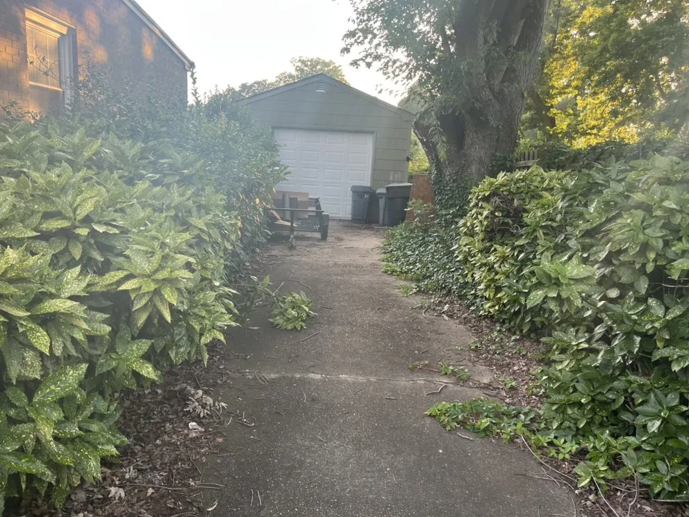 Local yard cleanup service in Newport News, VA by Swartz’s Lawn & Landscape