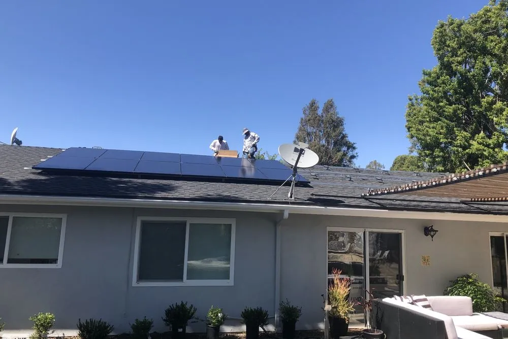 Trusted residential landscaping experts serving Costa Mesa, CA - Swave Solutions