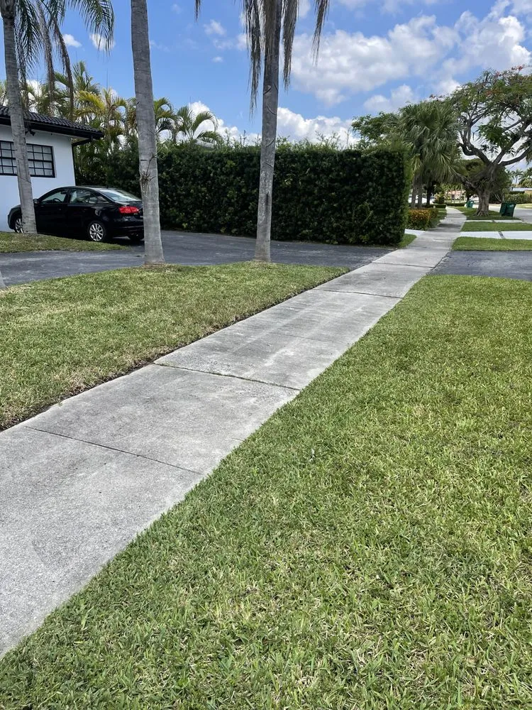 Top-rated lawn care service for year-round maintenance across Miami, FL - Swaynes Lawncare
