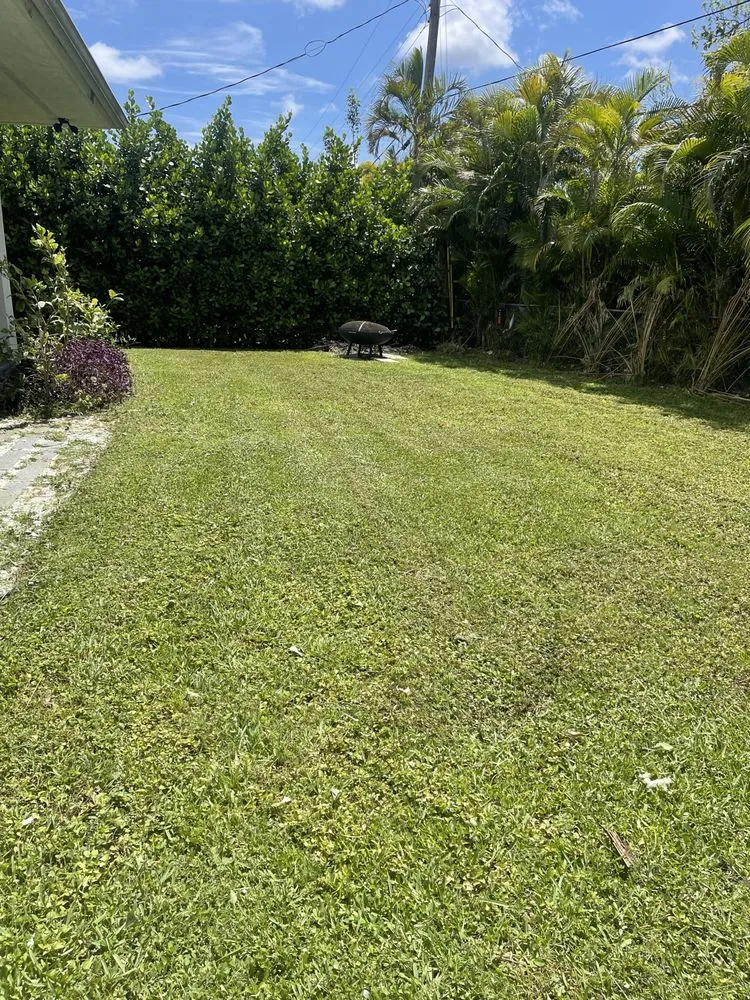 Trusted residential landscaping experts serving Miami, FL - Swaynes Lawncare