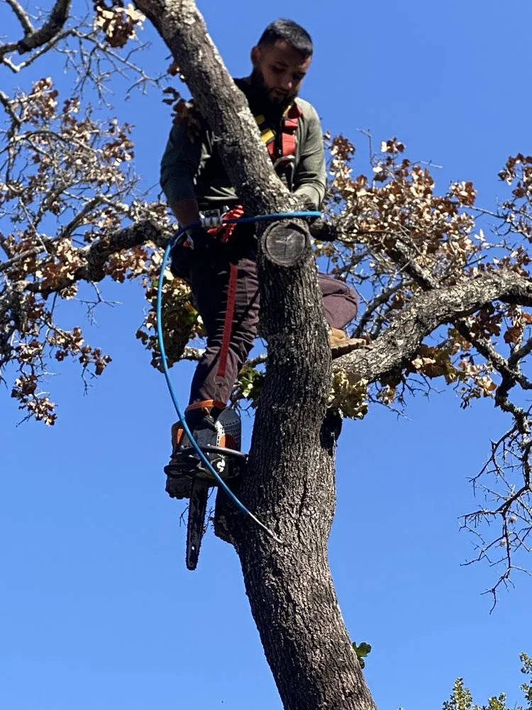 Affordable landscape installation in Kingsland, TX - Swayzze'sTree & Lawn Care