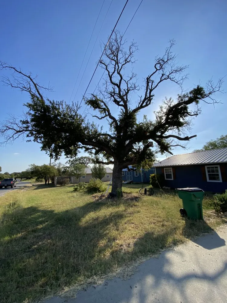 Expert outdoor landscaping for beautiful yards across Kingsland, TX - Swayzze'sTree & Lawn Care