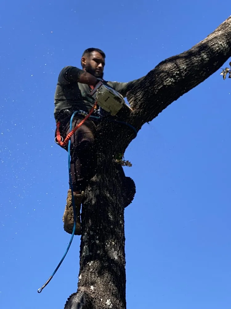 Professional residential landscaping experts serving Kingsland, TX - Swayzze'sTree & Lawn Care