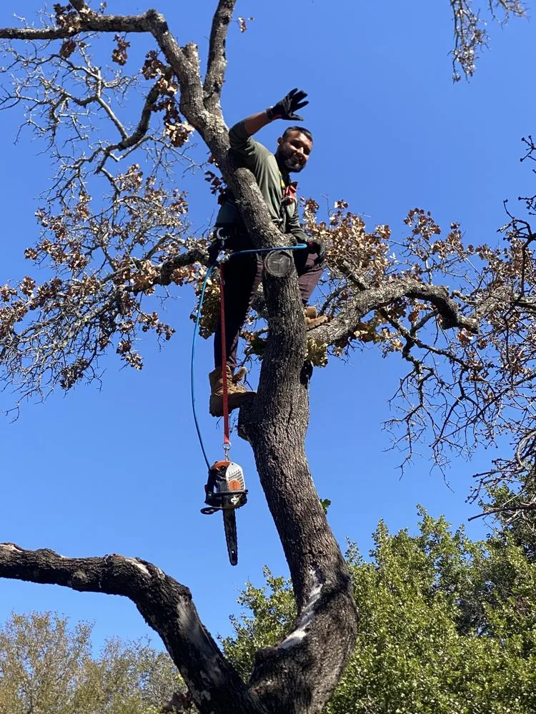 Local garden landscaping in Kingsland, TX - Swayzze'sTree & Lawn Care
