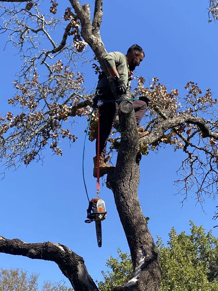 Trusted lawn mowing service for beautiful yards in Kingsland, TX by Swayzze'sTree & Lawn Care