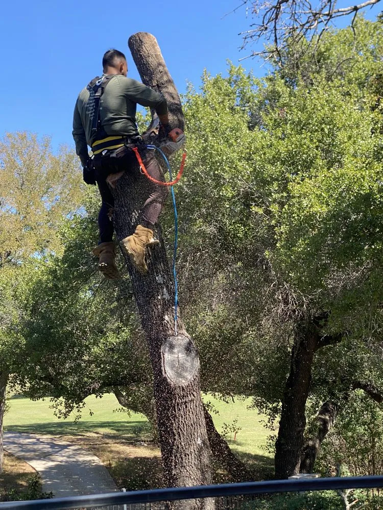 Trusted garden landscaping in Kingsland, TX - Swayzze'sTree & Lawn Care