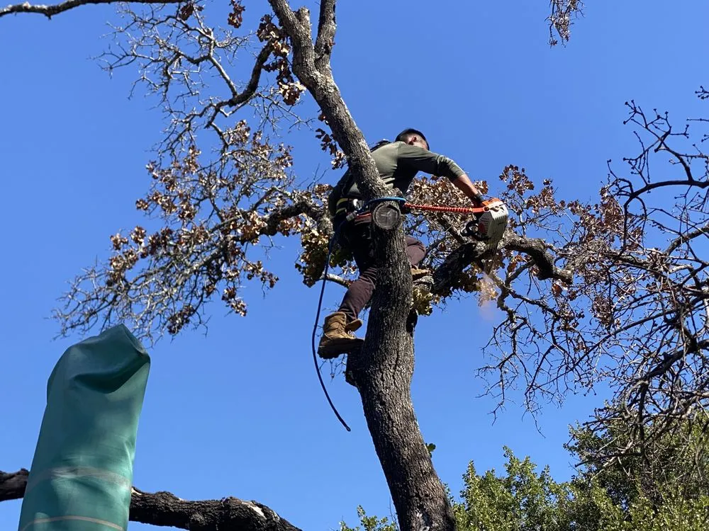 Expert residential landscaping experts serving Kingsland, TX - Swayzze'sTree & Lawn Care