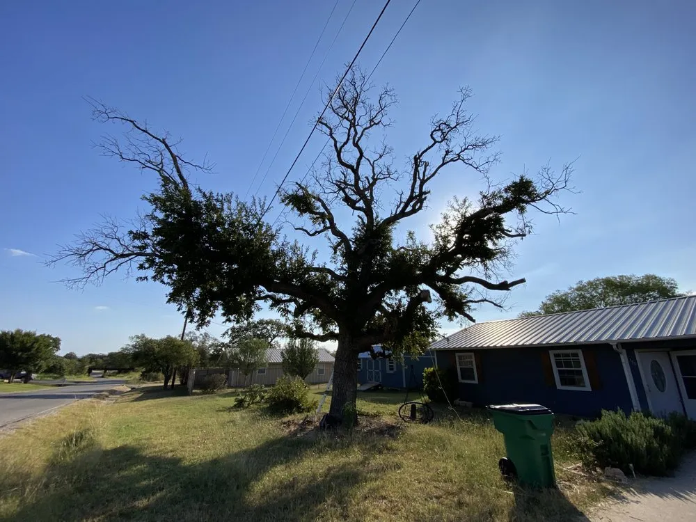 Affordable landscaping services in Kingsland, TX by Swayzze'sTree & Lawn Care