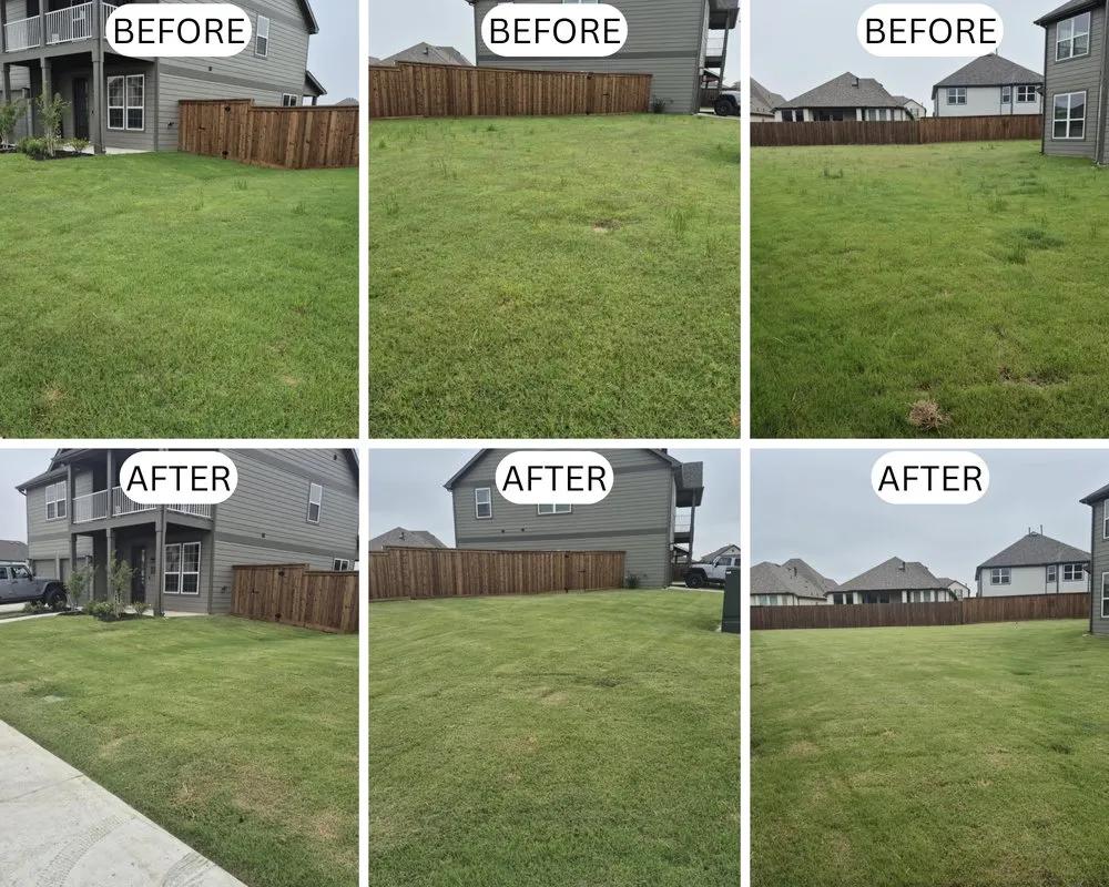 Custom landscaping services for year-round maintenance across Greenville, TX - Sweat Equity Services