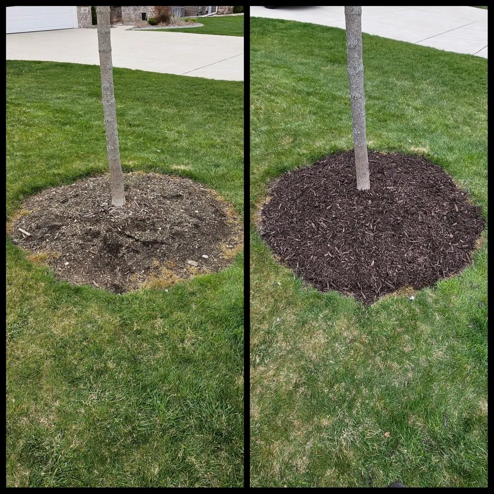 Professional lawn mowing service experts serving Green Bay, WI - Sweda Mowing