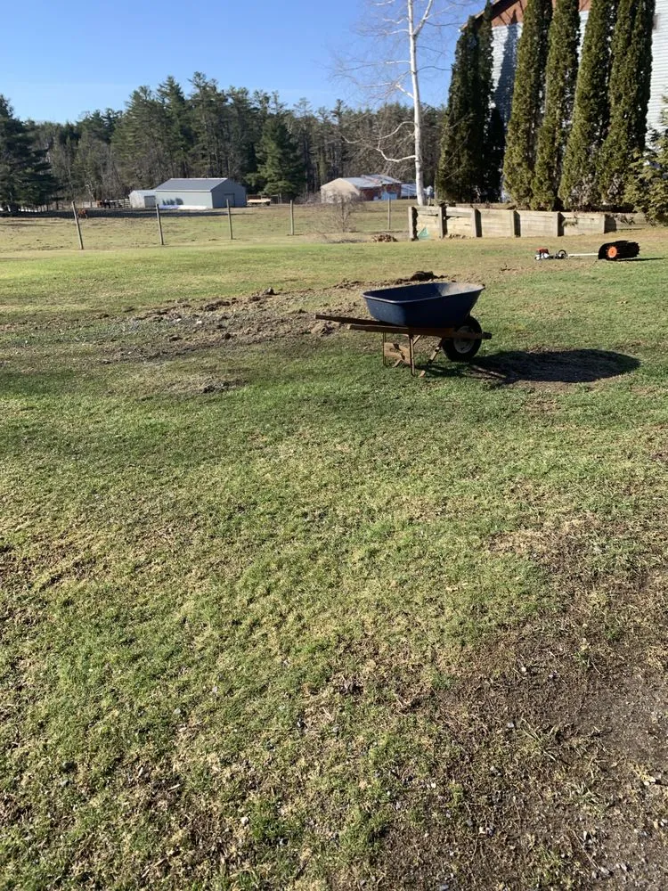 Reliable yard cleanup service for beautiful yards across Johnstown, NY - Sweeney Property Management