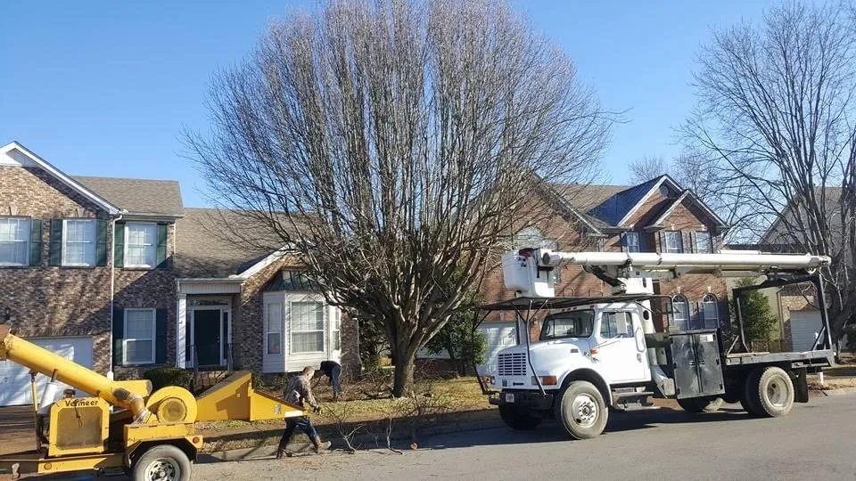 Local landscape design near you in Santa Fe, TN by Sweeney Tree and Lawn