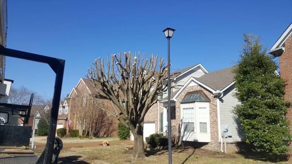 Affordable garden landscaping experts serving Santa Fe, TN - Sweeney Tree and Lawn
