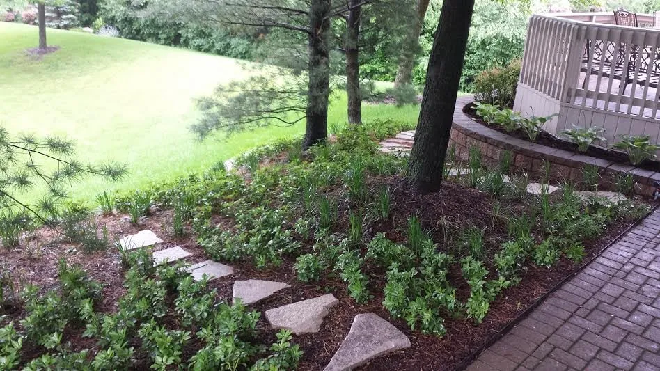 Affordable landscaping services for beautiful yards in Villa Park, IL by Sweeney's Custom Landscaping