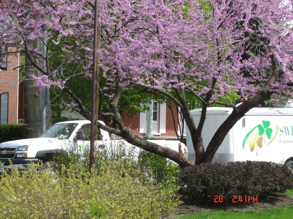 Affordable yard maintenance in Villa Park, IL - Sweeney's Custom Landscaping