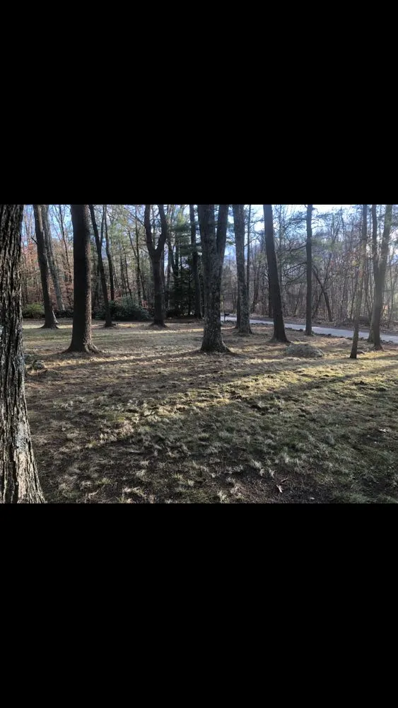 Top-rated landscaping services for year-round maintenance in Templeton, MA by Sweeney’s landscaping