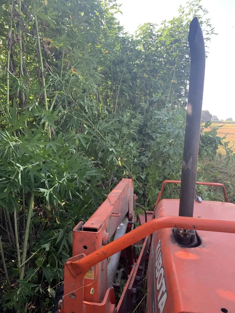 Trusted lawn mowing service in New Iberia, LA by Sweeney’s Lawn Care Services