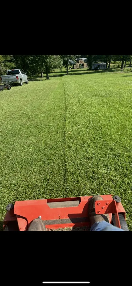 Professional landscaping services for beautiful yards across Piedmont, AL - Sweep & Reap