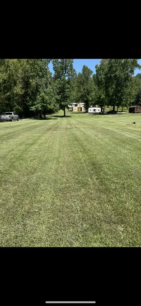 Trusted lawn care service in Piedmont, AL by Sweep & Reap