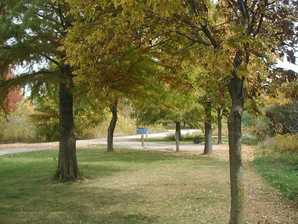 Professional lawn mowing service near you in Washington, IL by Sweet -n- Tidy Trimmings