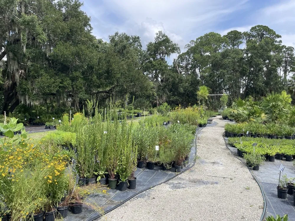 Reliable landscape design in Parrish, FL by Sweet Bay Nursery