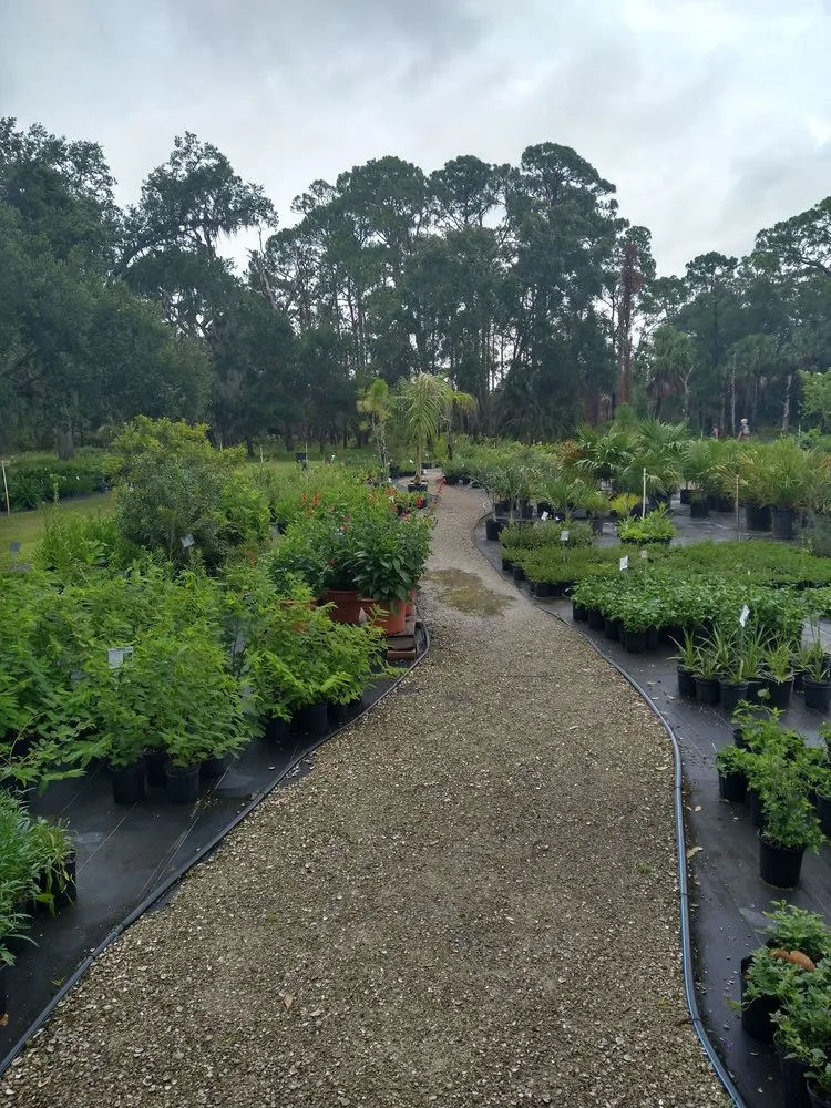 Local landscaping services experts serving Parrish, FL - Sweet Bay Nursery