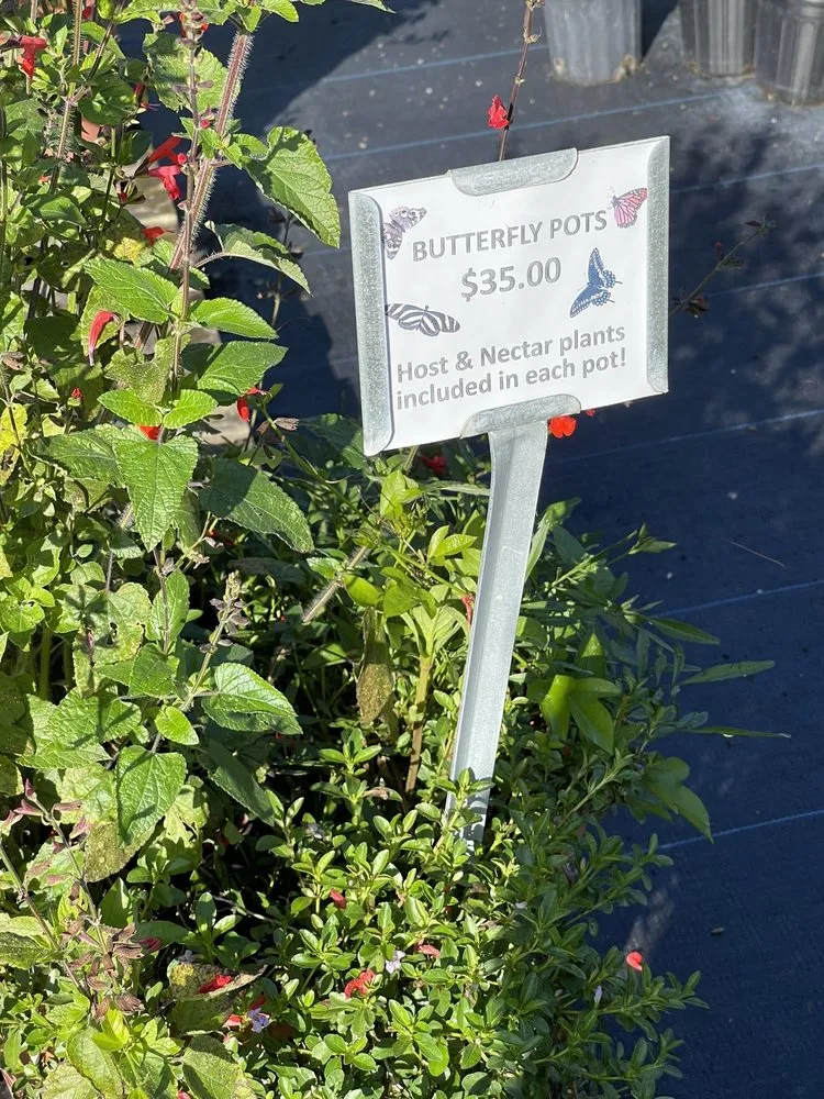 Affordable lawn mowing service with custom design in Parrish, FL by Sweet Bay Nursery