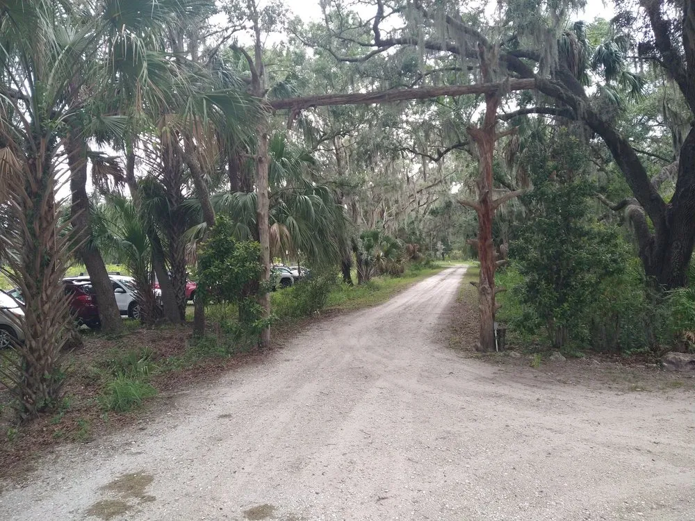Expert lawn mowing service in Parrish, FL - Sweet Bay Nursery