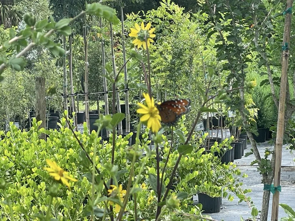 Professional residential landscaping for homes across Parrish, FL - Sweet Bay Nursery