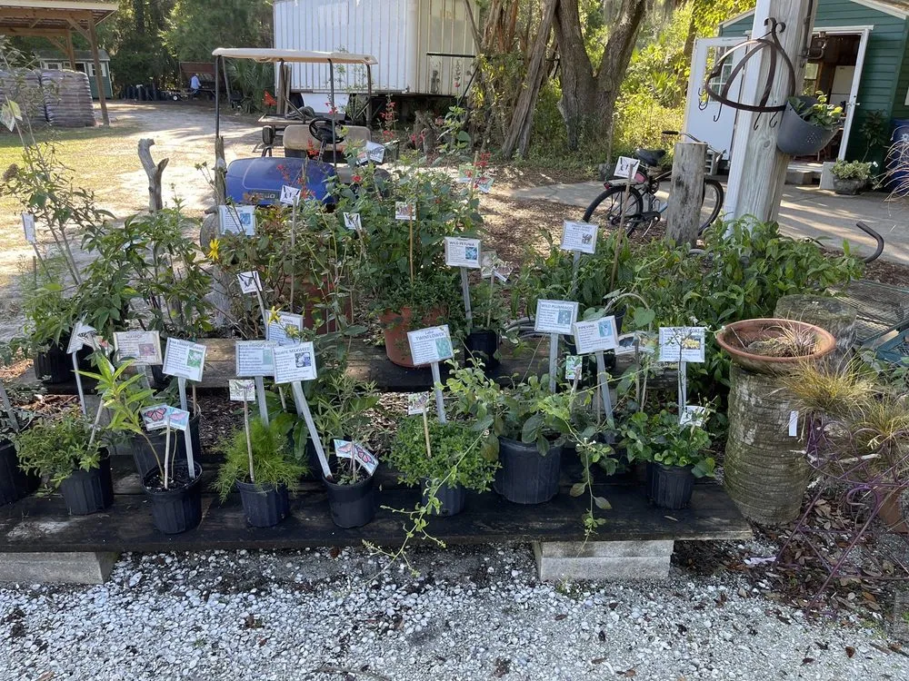 Affordable landscaping services with custom design in Parrish, FL by Sweet Bay Nursery