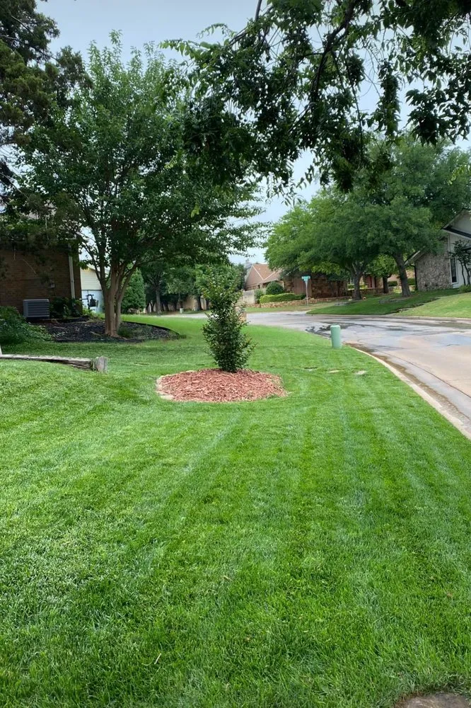 Top-rated landscape design in Oklahoma City, OK by Sweet Clippings