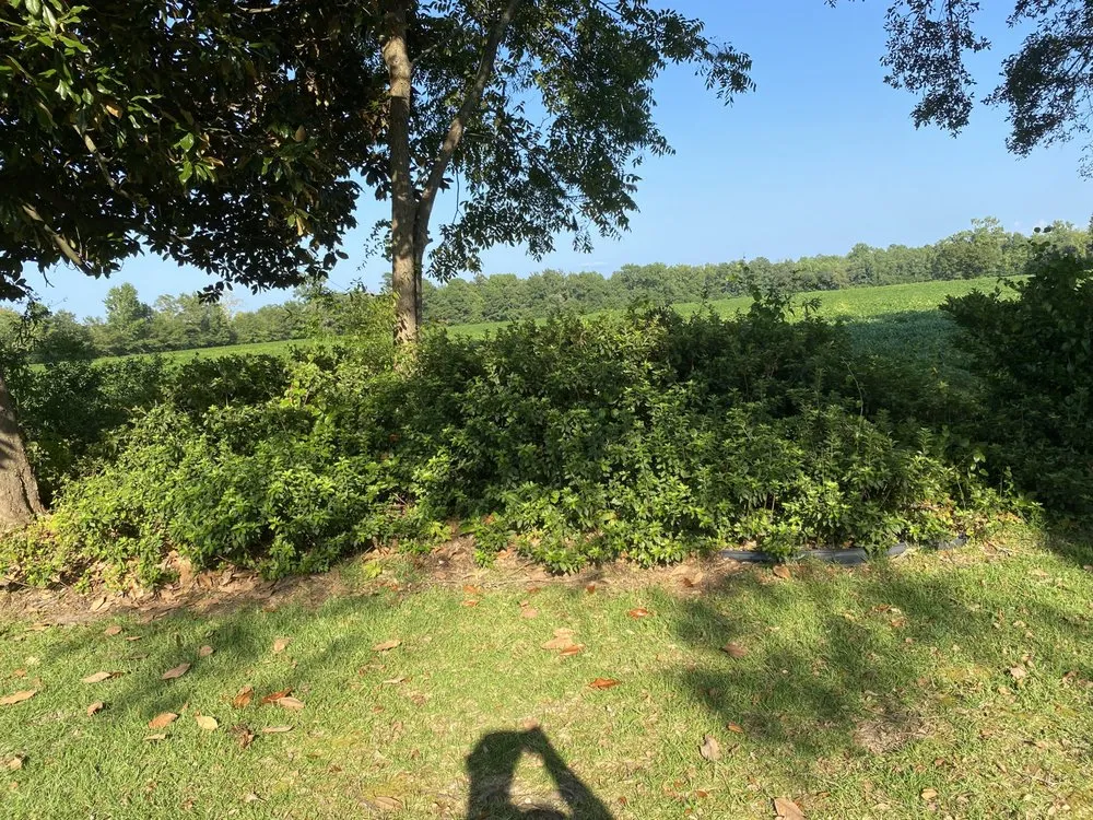 Professional lawn mowing service for outdoor upgrades across Whiteville, NC - Sweet Farm Lawn Care