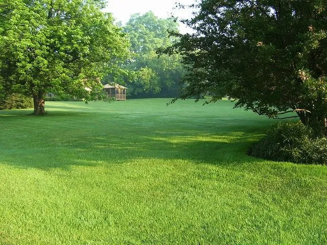 Professional landscape installation in Annandale, VA - Sweet Garden Lawn Care & Landscapes