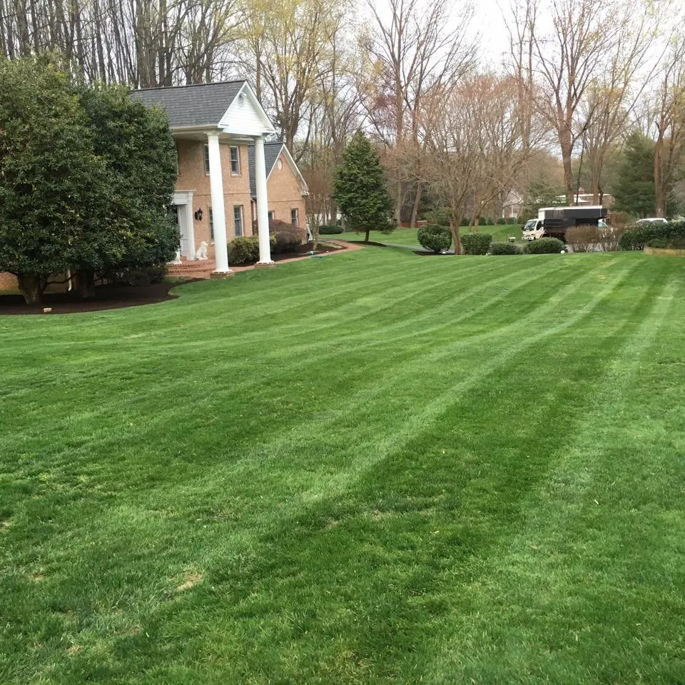 Affordable yard maintenance with custom design across Annandale, VA - Sweet Garden Lawn Care & Landscapes