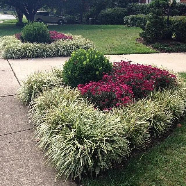 Custom lawn care service experts serving Annandale, VA - Sweet Garden Lawn Care & Landscapes