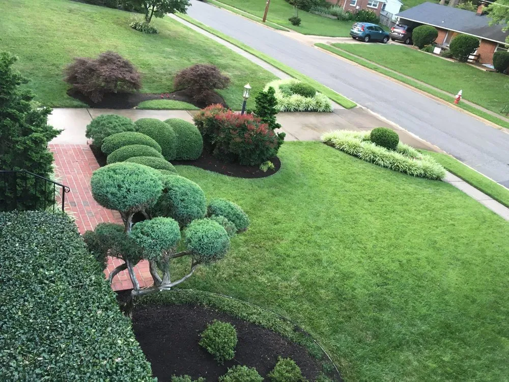 Custom landscape design near you in Annandale, VA by Sweet Garden Lawn Care & Landscapes