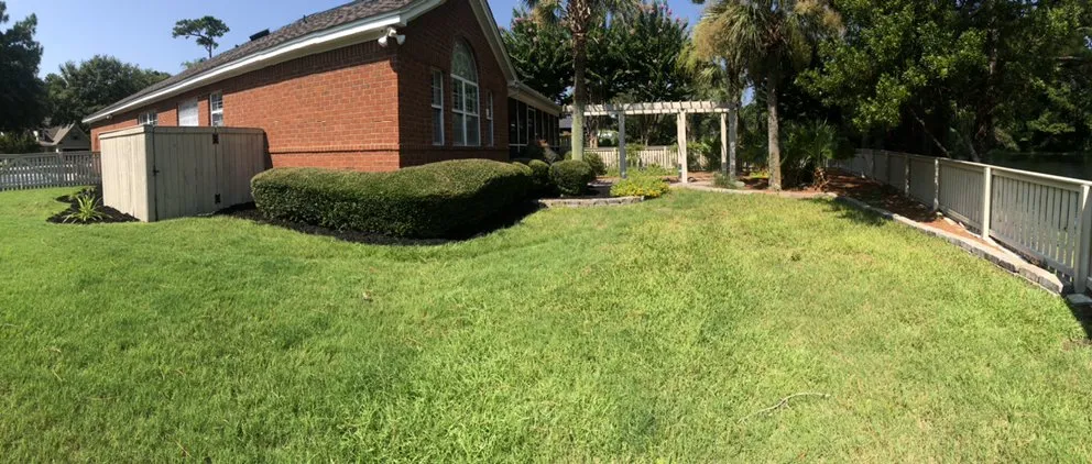 Professional residential landscaping in Mount Pleasant, SC by Sweet Grass Exterior Design