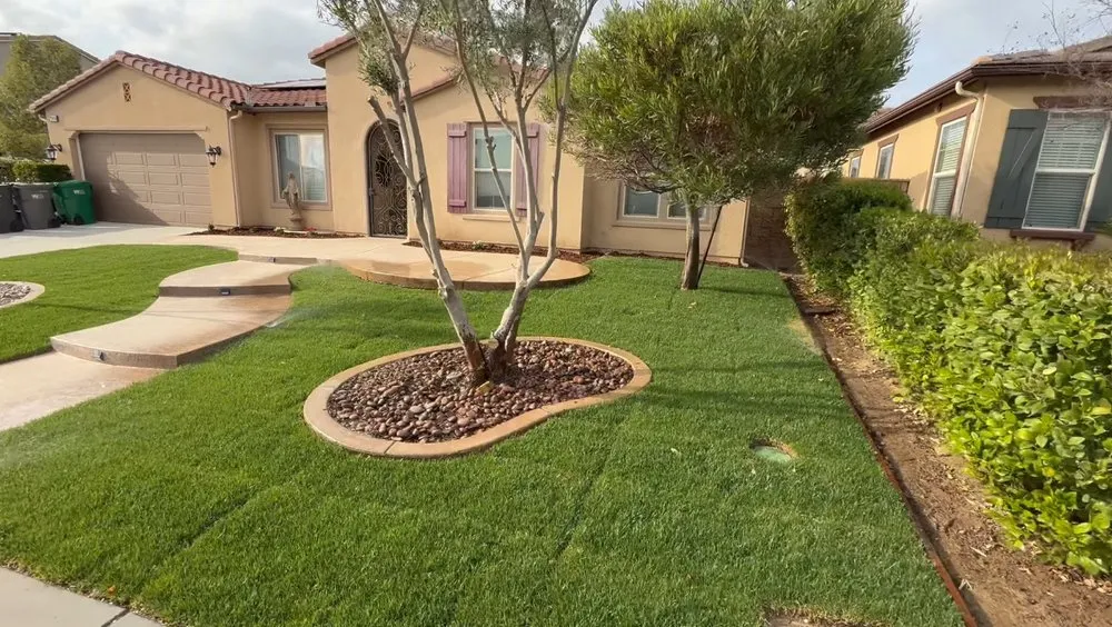 Custom yard maintenance for beautiful yards in Menifee, CA by Sweet Home Service