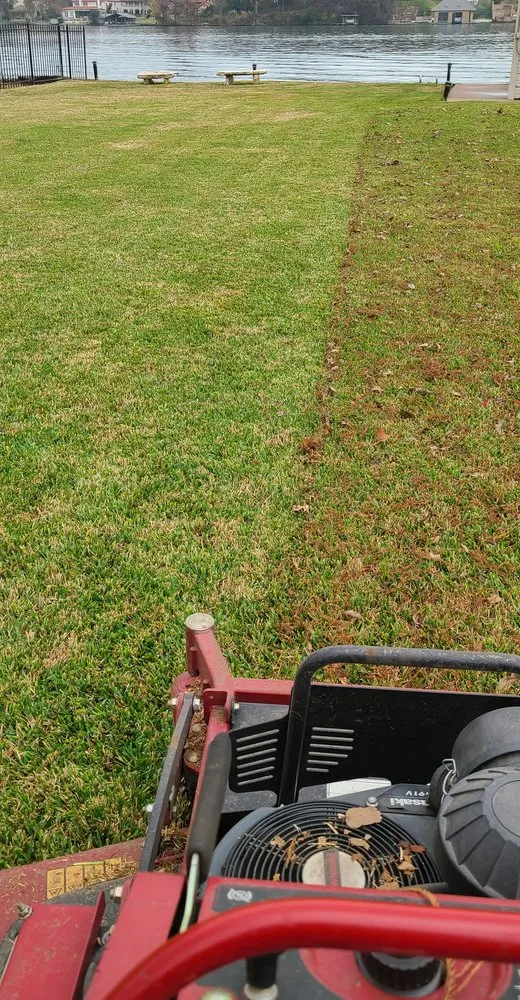 Top-rated garden landscaping in Austin, TX - Sweet Landscape Services