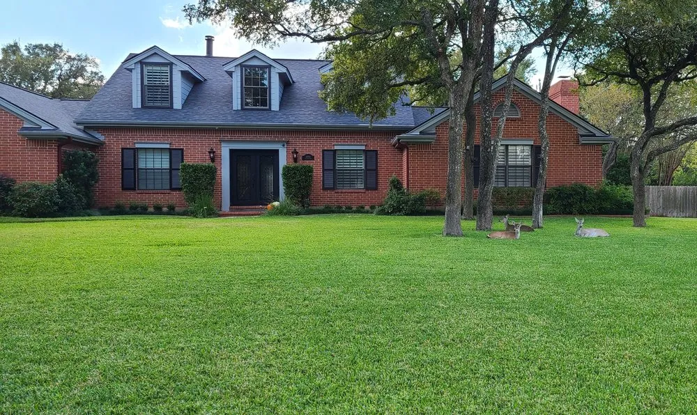 Trusted yard cleanup service for outdoor upgrades in Austin, TX by Sweet Landscape Services