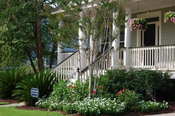 Trusted yard maintenance experts serving Charleston, SC - Sweet Magnolia Landscape Management