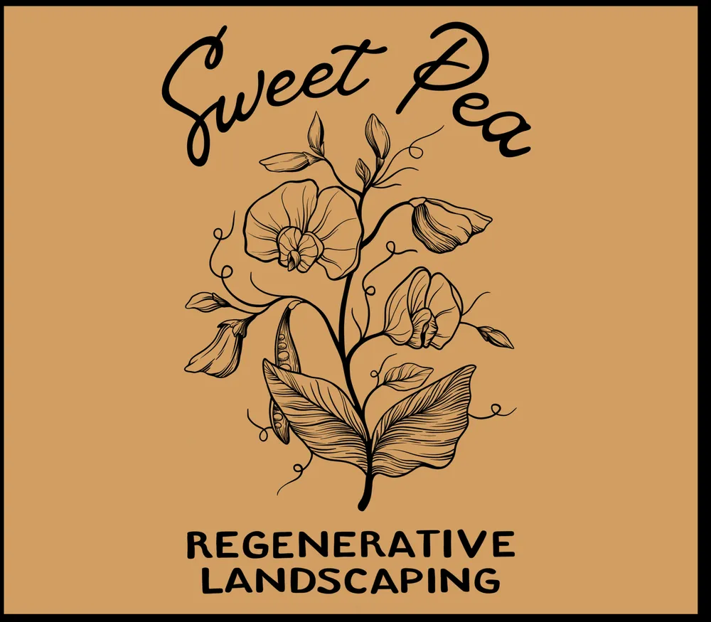 Affordable outdoor landscaping experts serving Truckee, CA - Sweet Pea Regenerative Landscaping